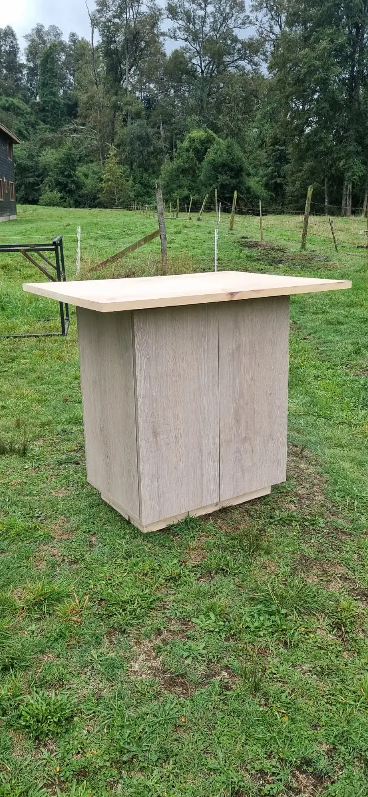 Aparador bar bajo en madera clara con tapa superior amplia, puerta frontal y estante interior